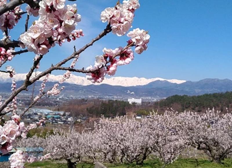 イベント情報 ながの情報 Nagano Joho Next